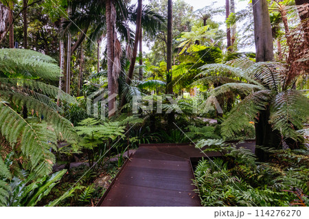 Royal Botanic Gardens in Melbourne Australia 114276270