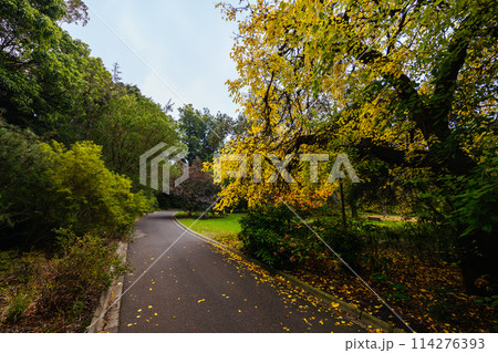 Royal Botanic Gardens in Melbourne Australia 114276393