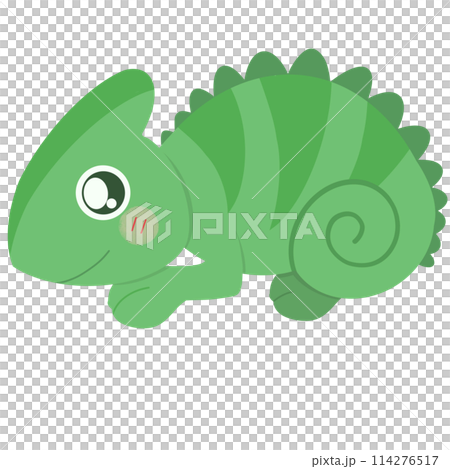 cartoon green chameleon  114276517