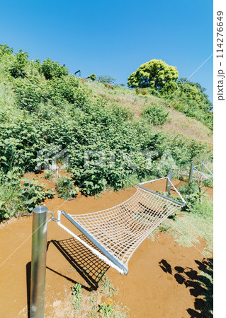 《静岡県》　熱海のACAO FOREST　SNS映えスポット　ハンモックベンチ 114276649