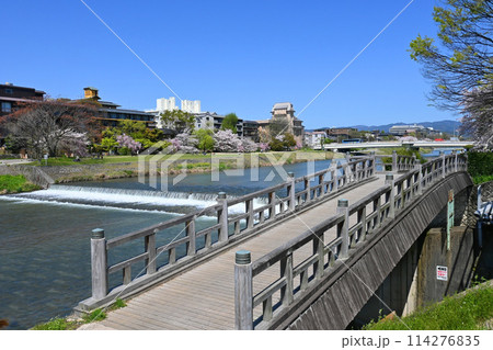春の京都市左京区鴨川の撮影橋 春の京都市左京区鴨川の撮影橋 114276835