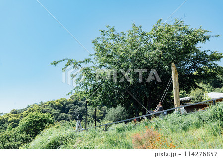 《静岡県》　熱海のACAO FOREST　SNS映えスポット　空飛ぶブランコ 114276857