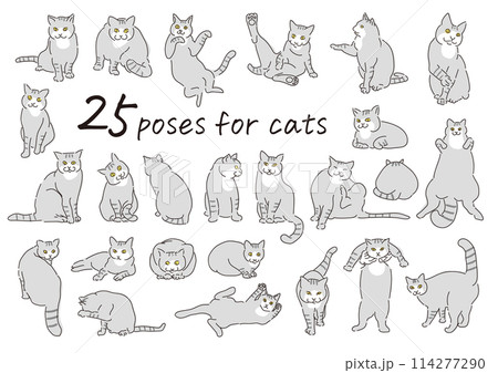 猫のシンプルな線画のイラスト 猫のシンプルな線画のイラスト 114277290
