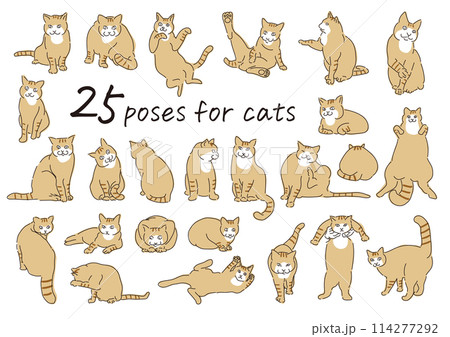 猫のシンプルな線画のイラスト 114277292