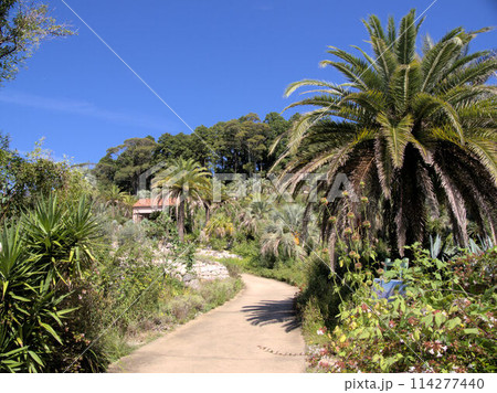 北川村「モネの庭」マルモッタンのボルディゲラの庭 高知県安芸郡北川村野友甲 北川村「モネの庭」マルモッタンのボルディゲラの庭 高知県安芸郡北川村野友甲 114277440