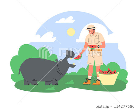 Zookeeper feeding hippo vector illustration Zookeeper feeding hippo vector illustration 114277586