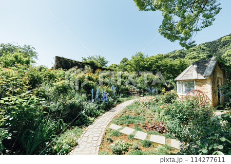 《静岡県》 熱海のACAO FOREST SNS映えスポット イングリッシュローズガーデン 《静岡県》 熱海のACAO FOREST SNS映えスポット イングリッシュローズガーデン 114277611