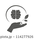 Mental health of the brain.  114277926