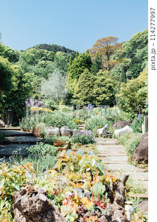 《静岡県》　熱海のACAO FOREST　SNS映えスポット　ハーブガーデン 114277997