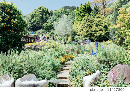 《静岡県》　熱海のACAO FOREST　SNS映えスポット　ハーブガーデン 114278004