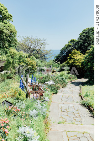 《静岡県》　熱海のACAO FOREST　SNS映えスポット　ハーブガーデン 114278009