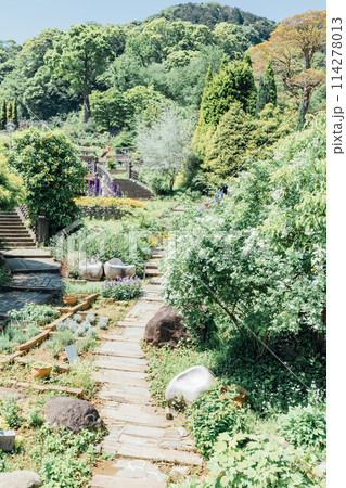 《静岡県》 熱海のACAO FOREST SNS映えスポット ハーブガーデン 《静岡県》 熱海のACAO FOREST SNS映えスポット ハーブガーデン 114278013