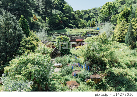 《静岡県》　熱海のACAO FOREST　SNS映えスポット　ハーブガーデン 114278016