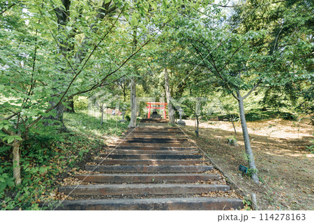 《静岡県》 熱海のACAO FOREST 曽我浅間神社 《静岡県》 熱海のACAO FOREST 曽我浅間神社 114278163
