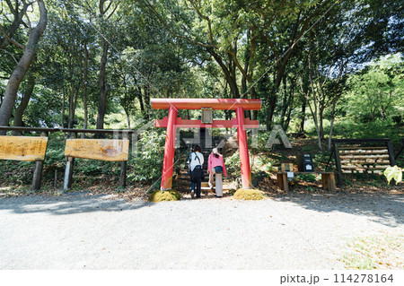 《静岡県》 熱海のACAO FOREST 曽我浅間神社 《静岡県》 熱海のACAO FOREST 曽我浅間神社 114278164