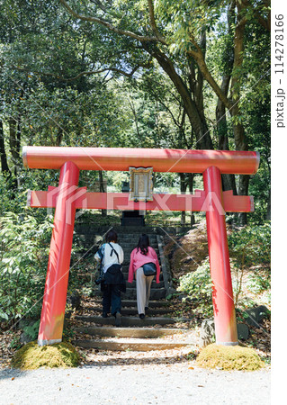 《静岡県》　熱海のACAO FOREST　曽我浅間神社 114278166
