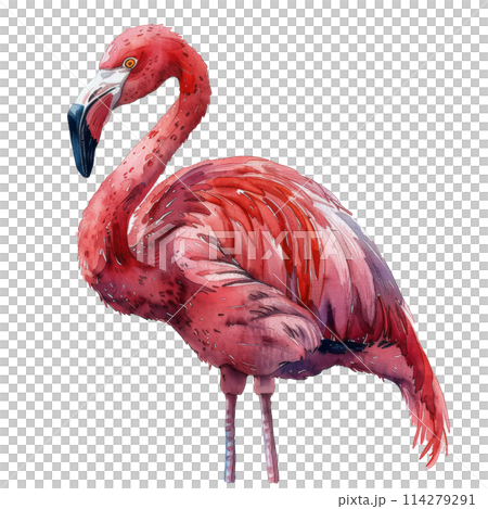 Pink Flamingo Wearing Crown 114279291