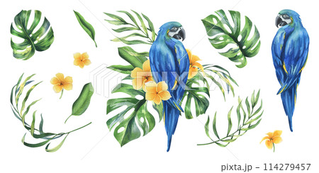 Tropical palm leaves, monstera and flowers of plumeria, hibiscus, bright juicy with blue-yellow macaw parrot. Hand drawn watercolor botanical illustration. Set of elements isolated from background 114279457