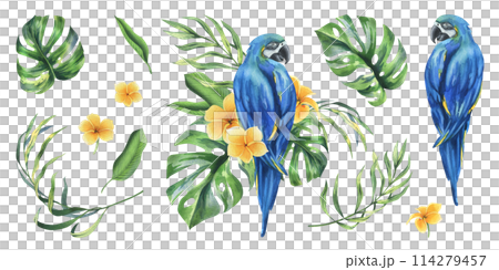Tropical palm leaves, monstera and flowers of plumeria, hibiscus, bright juicy with blue-yellow macaw parrot. Hand drawn watercolor botanical illustration. Set of elements isolated from background 114279457