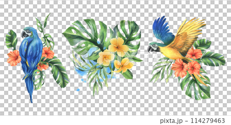 Tropical palm leaves, monstera and flowers of plumeria, hibiscus, bright juicy with blue-yellow macaw parrot. Hand drawn watercolor botanical illustration. Set of elements isolated from background Tropical palm leaves, monstera and flowers of plumeria, hibiscus, bright juicy with blue-yellow macaw parrot. Hand drawn watercolor botanical illustration. Set of elements isolated from background 114279463