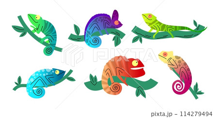 Diverse chameleons on branches vector set 114279494