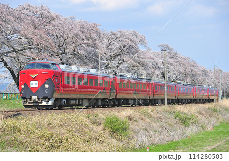 東北本線　船岡ー大河原　JR東日本　485系　あかべぇ編成（仙台）　臨時 114280503