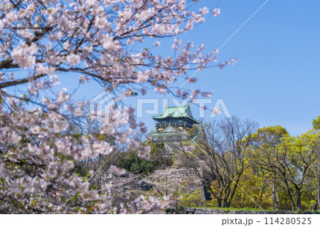 【桜】春の大阪城公園【大阪城天守閣】 【桜】春の大阪城公園【大阪城天守閣】 114280525
