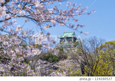 【桜】春の大阪城公園【大阪城天守閣】 【桜】春の大阪城公園【大阪城天守閣】 114280527