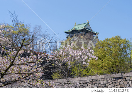 【桜】春の大阪城公園【大阪城天守閣】 114281278