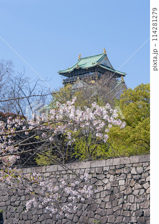 【桜】春の大阪城公園【大阪城天守閣】 114281279