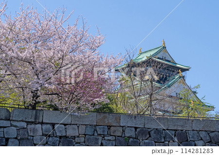 【桜】春の大阪城公園【大阪城天守閣】 114281283