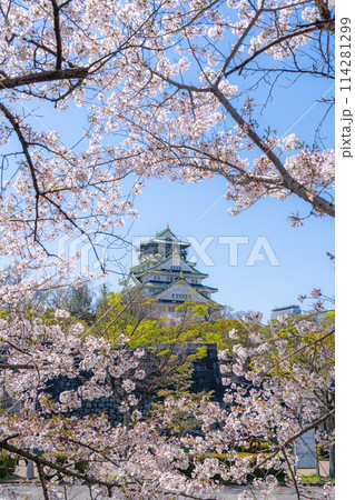 【桜】春の大阪城公園【大阪城天守閣】 【桜】春の大阪城公園【大阪城天守閣】 114281299