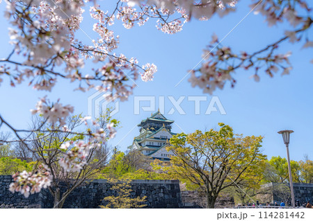 【桜】春の大阪城公園【大阪城天守閣】 【桜】春の大阪城公園【大阪城天守閣】 114281442