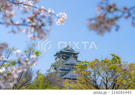【桜】春の大阪城公園【大阪城天守閣】 【桜】春の大阪城公園【大阪城天守閣】 114281443