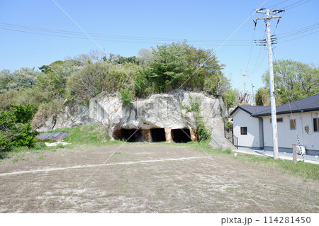 宮城県　野々島のボラ 114281450