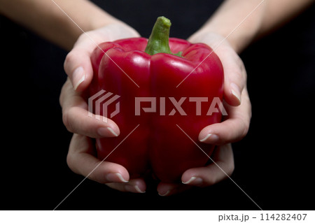 Red pepper on a woman's hand on black background Red pepper on a woman's hand on black background 114282407
