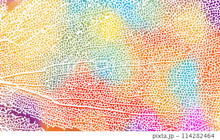 Skeleton colored leaf background. Not AI. Vector illustration 114282464