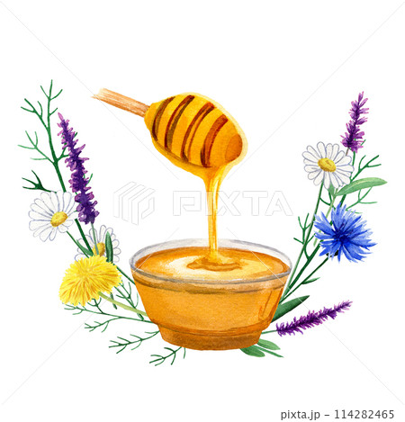Composition of watercolor elements with cup of honey, dandelion, cornflower, sage, chamomile for design, postcards, logos, business cards, invitations Composition of watercolor elements with cup of honey, dandelion, cornflower, sage, chamomile for design, postcards, logos, business cards, invitations 114282465
