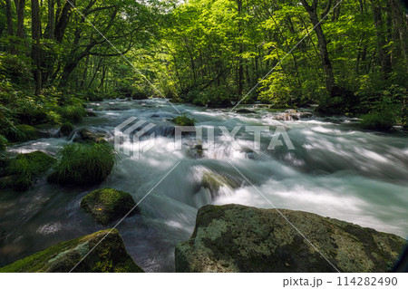 青森 奥入瀬渓流 114282490