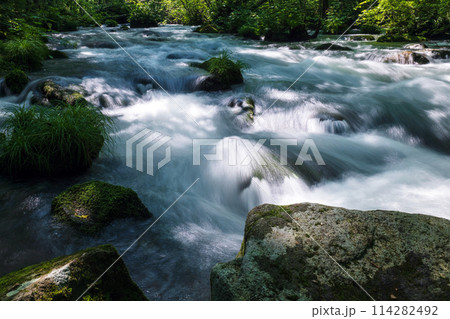 青森 奥入瀬渓流 114282492