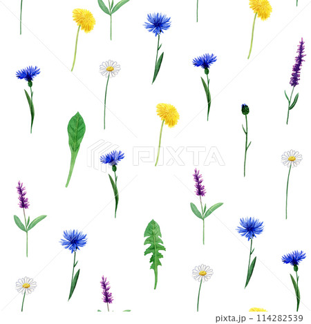 Seamless floral watercolor pattern with garden flowers - chamomile, dandelion, cornflower, sage. Hand drawn in watercolor for packaging, fabrics 114282539