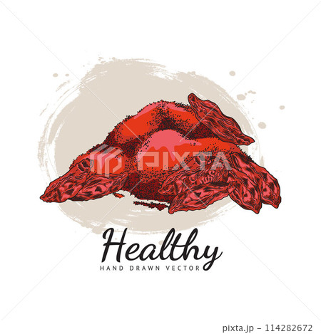 Red goji berries hand-drawn vector illustration 114282672