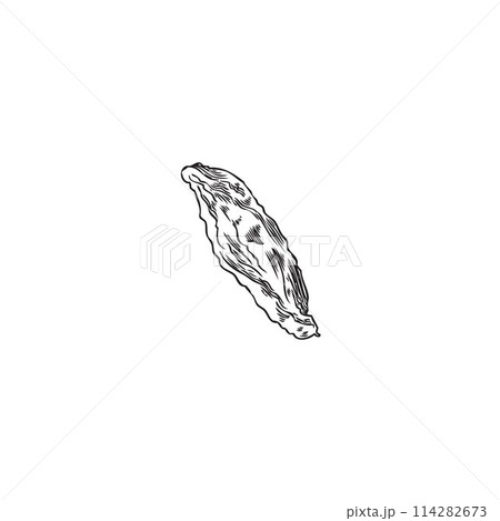 Dried Goji berry line art vector illustration 114282673