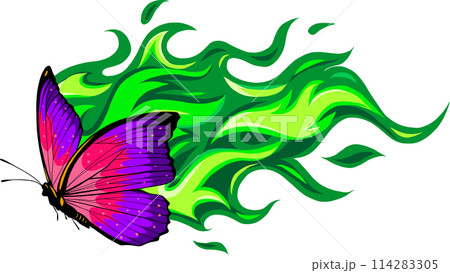 morpho butterfly on white background. Vector illustration. morpho butterfly on white background. Vector illustration. 114283305