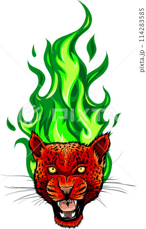 vector illustration of Roaring leopard head on white background. digital hand draw design 114283585