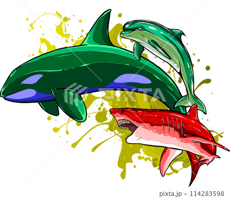 Set of Marine mammals vector illustration. digital hand draw design Set of Marine mammals vector illustration. digital hand draw design 114283598