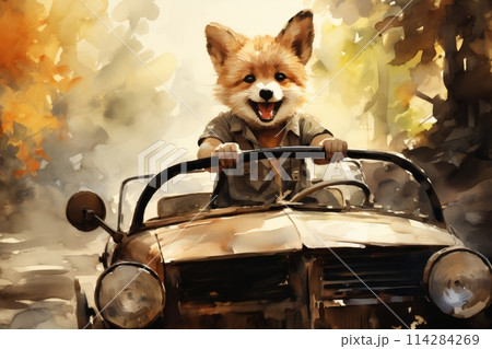 A happy fox in a retro car drives through the countryside on a sunny day. 114284269