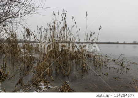 frozen lake in winter in cloudy weather, ice on the lake ts 114284577