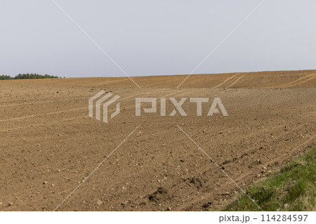 an agricultural field with plowed soil during spring sowing 114284597