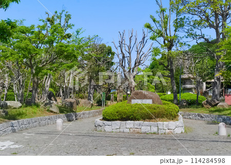 千葉県市川市ジュンサイ池緑地周辺2024年5月 千葉県市川市ジュンサイ池緑地周辺2024年5月 114284598